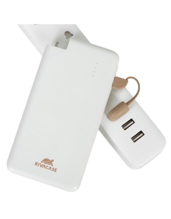 RIVA PORT.RECHARGABLE BATT.4000mAh – 2-DVRIPO2004