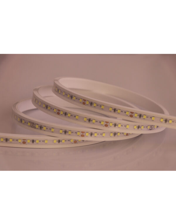 FLAT NEON FLEX LED TAINIA 11W 6000K 24V 1000lm 220° IP65 DIMMABLE 5M UNIVERSE – 2-U011273