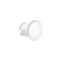 VIRUS FI WH WH – 1-ID244808