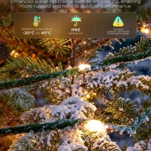Christmas String Lights 2 – 20M H70C4 Govee 1.SH.01.G053