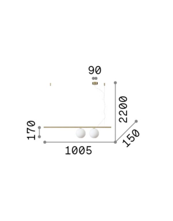 306995_DIS001.jpg