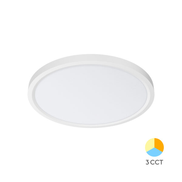 3b35ecbf-42d9-4719-af45-dbc66eeb3132.jpg