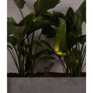 SPY-1  DARK GREY SPIKE LAMP 6W 3000K 30° – 1-FR70787