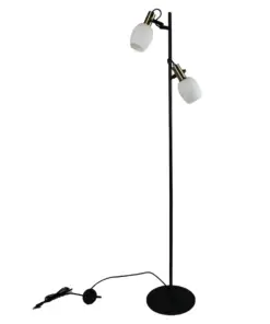 Arild | Floor lamp | Black – 1-NR2312324003