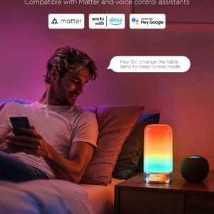 Επιτραπέζιο Φωτιστικό 2 Smart Wi-Fi RGBICWW H6022 Govee 1.SH.01.G050