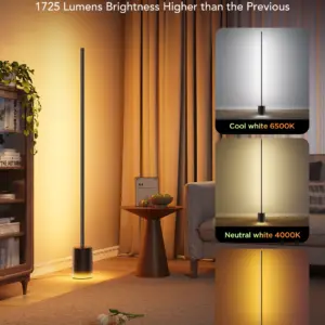 RGBICWW Floor Lamp 2 H607C Govee 1.SH.01.G048