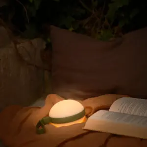 Bring To-Go 12 | Battery light | White/Green – 1-NR 2218013023