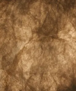 Cardine | Pendant | White – 1-NR2312443001