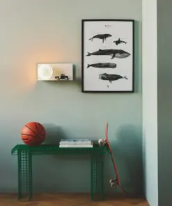 Lilibeth | Wall light | White – 1-NR2312931001