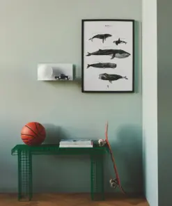 Lilibeth | Wall light | White – 1-NR2312931001