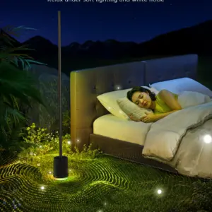 Smart Wi-Fi LED RGBICWW Φωτιστικό Δαπέδου Μαύρο με Ηχέιο H6079 Govee 1.SH.01.G066