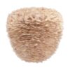 Eos Evia Large light brown O 55 x 54 cm – 1-UM2472