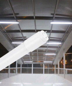 BRY-ADVANCE-18W-G13-SG-T8-GLS-6500K-LED TUBE – BA52-21283