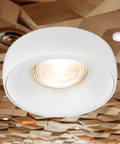 BRY-ALFA-A-RND-WHT-SPOTLIGHT – BH03-06010