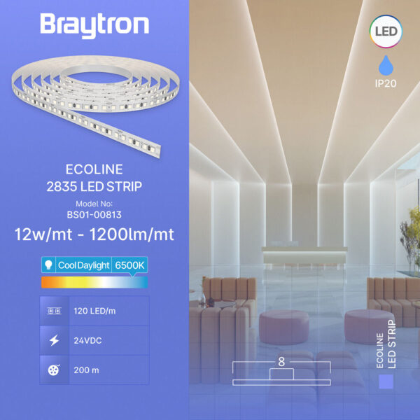 BRY-ECOLINE-12W-120L-2835-6500K-24V-IP20-LED STRIP – BS01-00813