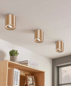 BRY-GAMA-8010-RND-GLD-GU10-SPOTLIGHT – BH04-00306