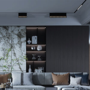 BRY-WSL250-12W-48VDC-3000K-BLC-MAG. LINEAR – BD60-03201