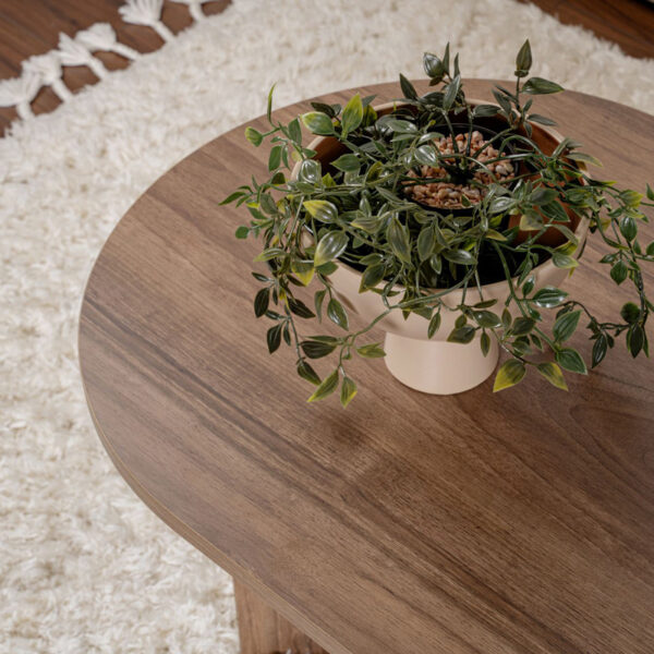 Τραπέζι σαλονιού Tabletod pakoworld σε καρυδί απόχρωση 119x60x40εκ – 071-001604