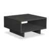 Coffee Table Hola pakoworld in antracite color 60x60x32 119-000727