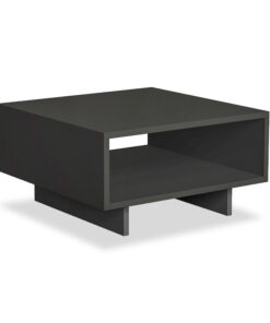 Coffee Table Hola pakoworld in antracite color 60x60x32 119-000727