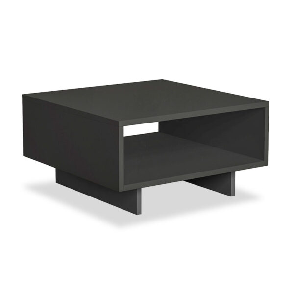 Coffee Table Hola pakoworld in antracite color 60x60x32 119-000727