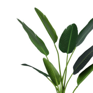 Διακοσμητικό φυτό Palm tree σε γλάστρα Inart πράσινο pp Υ120εκ – 316-000007
