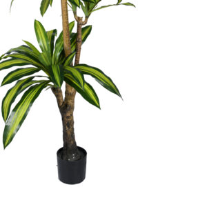 Διακοσμητικό φυτό Dracaena I σε γλάστρα Inart  πράσινο pp Υ170εκ – 316-000009