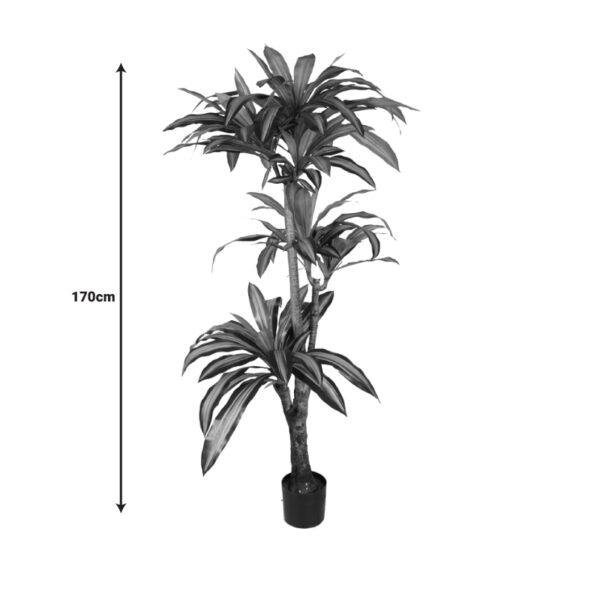 Διακοσμητικό φυτό Dracaena I σε γλάστρα Inart  πράσινο pp Υ170εκ – 316-000009