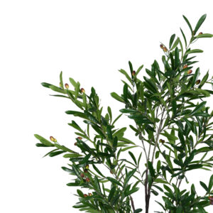 Διακοσμητικό φυτό Olive tree I σε γλάστρα Inart πράσινο pp Υ150εκ – 316-000017