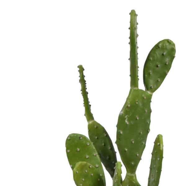 Διακοσμητικό φυτό Cactus σε γλάστρα Inart πράσινο pp Υ64εκ – 316-000021