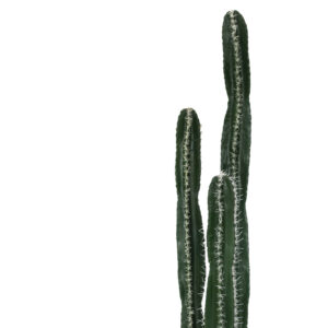 Διακοσμητικό φυτό Cactus II σε γλάστρα Inart πράσινο pp Υ155εκ – 316-000023