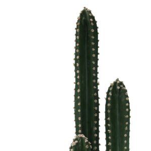 Διακοσμητικό φυτό Cactus III σε γλάστρα Inart πράσινο pp Υ85εκ – 316-000024