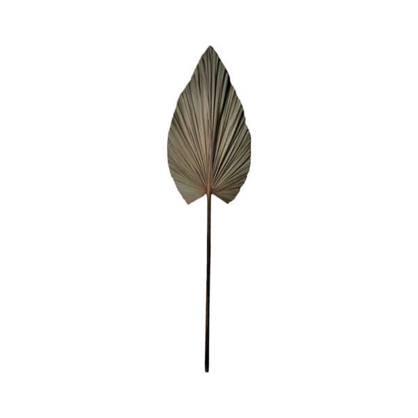 335-000015.jpg