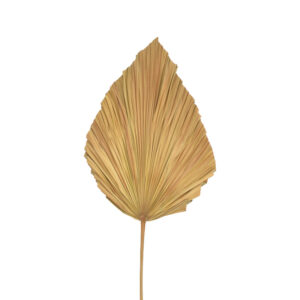 Διακοσμητικό φύλλο Walsy Inart palm leaf σε φυσική απόχρωση Υ135 εκ – 343-000115