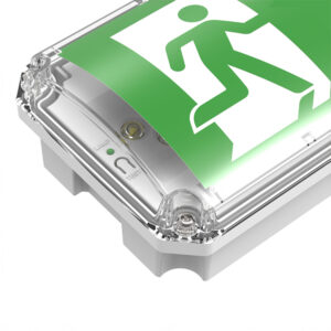 Φωτιστικό Ασφαλείας Συνεχούς & Μη Λειτουργίας 3h Οροφής-Τοίχου LED 3.5W 80lm Ψυχρό Λευκό 6500K Eurolamp IP66 – 145-28130