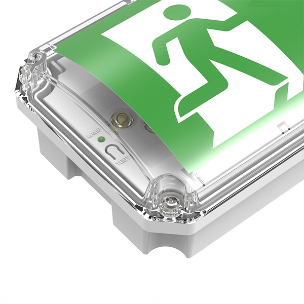 Φωτιστικό Ασφαλείας Συνεχούς & Μη Λειτουργίας 3h Οροφής-Τοίχου LED 3.5W 80lm Ψυχρό Λευκό 6500K Eurolamp IP66 – 145-28130