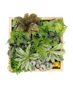 GloboStar® Artificial Garden VARIOUS PLANT 20641 Τεχνητό Διακοσμητικό Φυλλωσιάς σε Ξύλινο Πάνελ – Κάθετος Κήπος Μιξ Μ60 x Π60 x Υ32cm