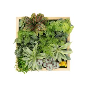 GloboStar® Artificial Garden VARIOUS PLANT 20641 Τεχνητό Διακοσμητικό Φυλλωσιάς σε Ξύλινο Πάνελ – Κάθετος Κήπος Μιξ Μ60 x Π60 x Υ32cm