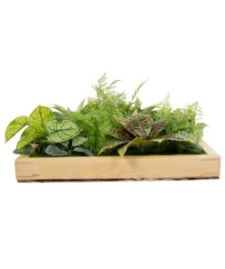 GloboStar® Artificial Garden VARIOUS PLANT 20641 Τεχνητό Διακοσμητικό Φυλλωσιάς σε Ξύλινο Πάνελ – Κάθετος Κήπος Μιξ Μ60 x Π60 x Υ32cm