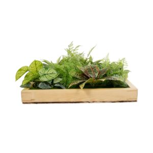 GloboStar® Artificial Garden VARIOUS PLANT 20641 Τεχνητό Διακοσμητικό Φυλλωσιάς σε Ξύλινο Πάνελ – Κάθετος Κήπος Μιξ Μ60 x Π60 x Υ32cm