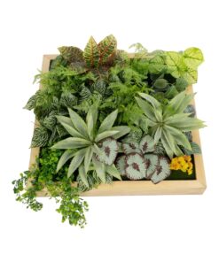 GloboStar® Artificial Garden VARIOUS PLANT 20641 Τεχνητό Διακοσμητικό Φυλλωσιάς σε Ξύλινο Πάνελ – Κάθετος Κήπος Μιξ Μ60 x Π60 x Υ32cm