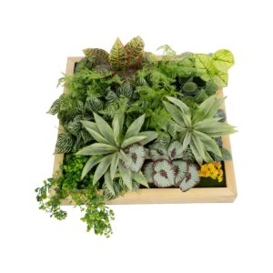 GloboStar® Artificial Garden VARIOUS PLANT 20641 Τεχνητό Διακοσμητικό Φυλλωσιάς σε Ξύλινο Πάνελ – Κάθετος Κήπος Μιξ Μ60 x Π60 x Υ32cm