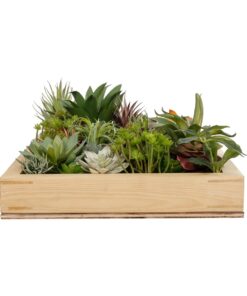 GloboStar® Artificial Garden VARIOUS PLANT 20642 Τεχνητό Διακοσμητικό Φυλλωσιάς σε Ξύλινο Πάνελ – Κάθετος Κήπος Μιξ Μ60 x Π40 x Υ20cm