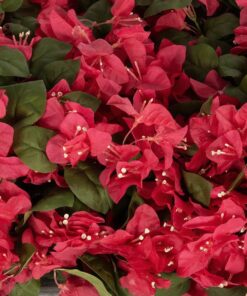 GloboStar® Artificial Garden BOUGAINVILLEA PLANT 20667 Τεχνητό Διακοσμητικό Φυτό Μπουκανβίλια Π120 x Μ70 x Y72cm