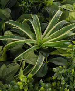 GloboStar® Artificial Garden VARIOUS PLANTS ROUND WALL DISC 20689 Τεχνητό Διακοσμητικό Στρογγυλό Πάνελ Φυλλωσιάς – Κάθετος Κήπος Μιξ Μ70 x Π70 x Υ15cm