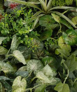 GloboStar® Artificial Garden VARIOUS PLANTS ROUND WALL DISC 20690 Τεχνητό Διακοσμητικό Στρογγυλό Πάνελ Φυλλωσιάς – Κάθετος Κήπος Μιξ Μ80 x Π80 x Υ20cm