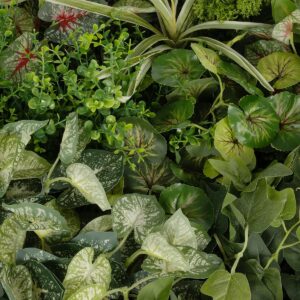 GloboStar® Artificial Garden VARIOUS PLANTS ROUND WALL DISC 20690 Τεχνητό Διακοσμητικό Στρογγυλό Πάνελ Φυλλωσιάς – Κάθετος Κήπος Μιξ Μ80 x Π80 x Υ20cm