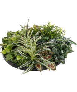 GloboStar® Artificial Garden VARIOUS PLANTS ROUND WALL DISC 20691 Τεχνητό Διακοσμητικό Στρογγυλό Πάνελ Φυλλωσιάς – Κάθετος Κήπος Μιξ Μ60 x Π60 x Υ20cm
