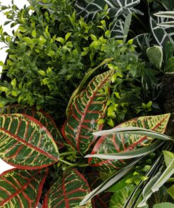 GloboStar® Artificial Garden VARIOUS PLANTS ROUND WALL DISC 20691 Τεχνητό Διακοσμητικό Στρογγυλό Πάνελ Φυλλωσιάς – Κάθετος Κήπος Μιξ Μ60 x Π60 x Υ20cm