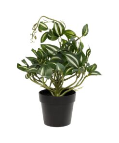 GloboStar® Artificial Garden ZEBRINA PLANT 20960 Διακοσμητικό Φυτό Ζεμπρίνα Φ45 x Υ22cm